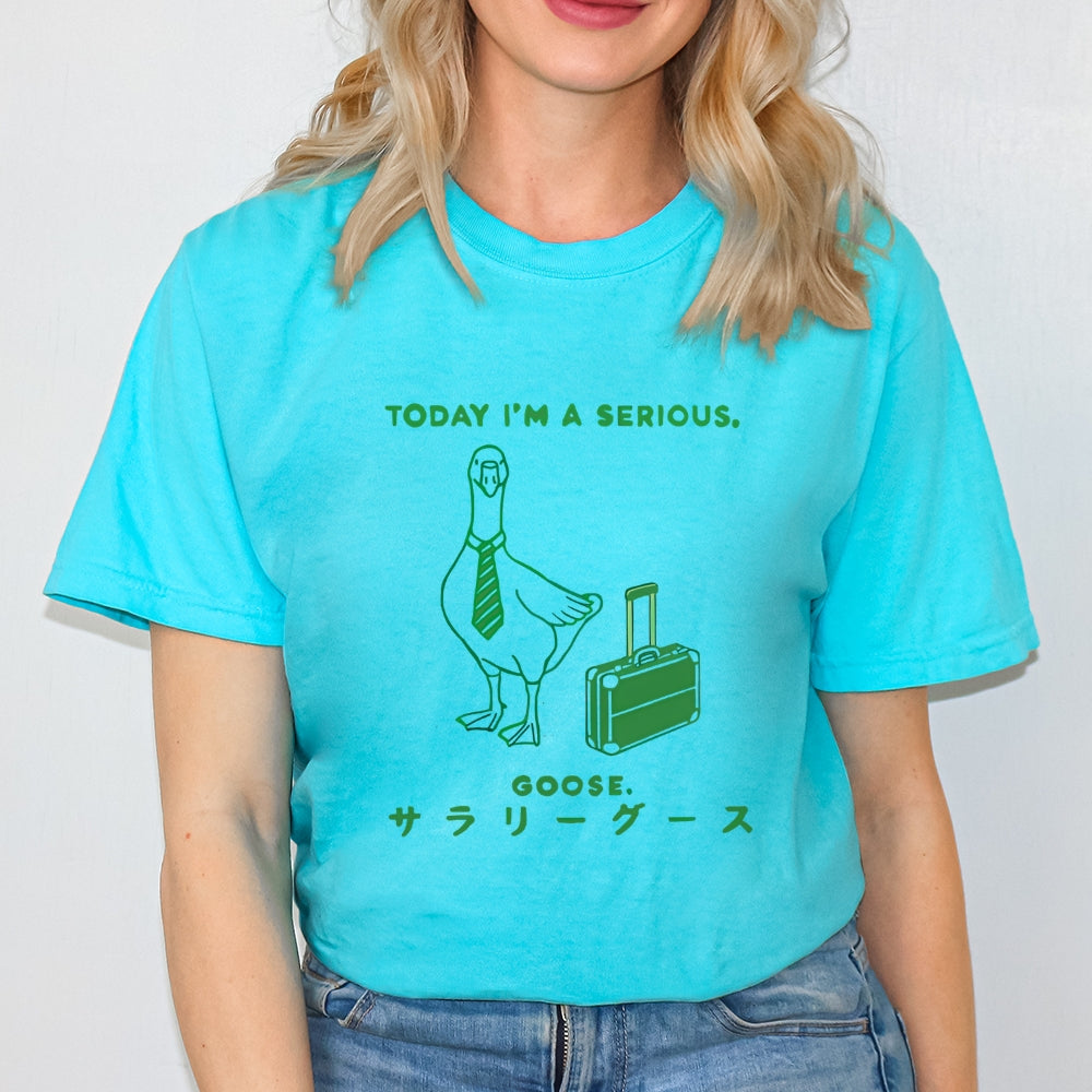 Today I'm a serious goose  T-Shirt