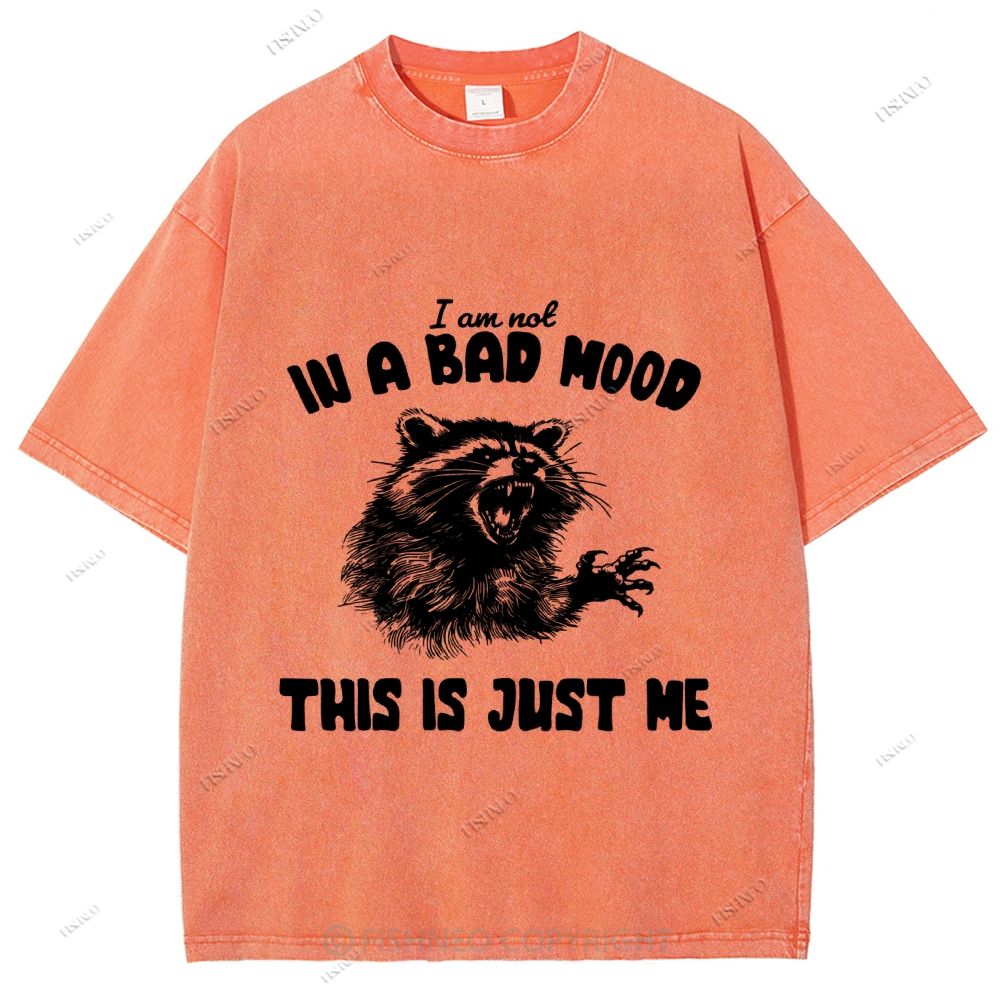 Unisex Vintage Angry Raccoon Printed Washed Tee