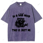 Unisex Vintage Angry Raccoon Printed Washed Tee