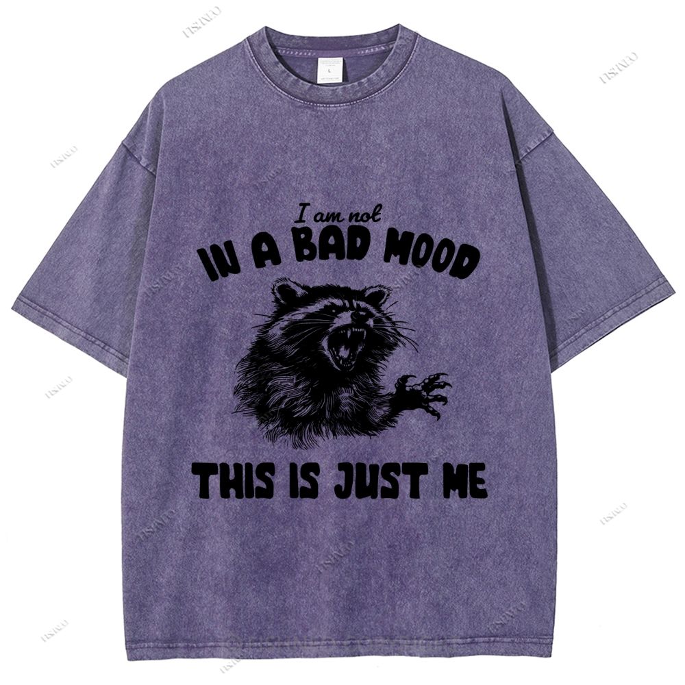 Unisex Vintage Angry Raccoon Printed Washed Tee