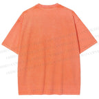 Unisex Vintage Raccoon Printed Washed Tee