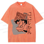 Unisex Sleeping Cat Printed Washed Tee
