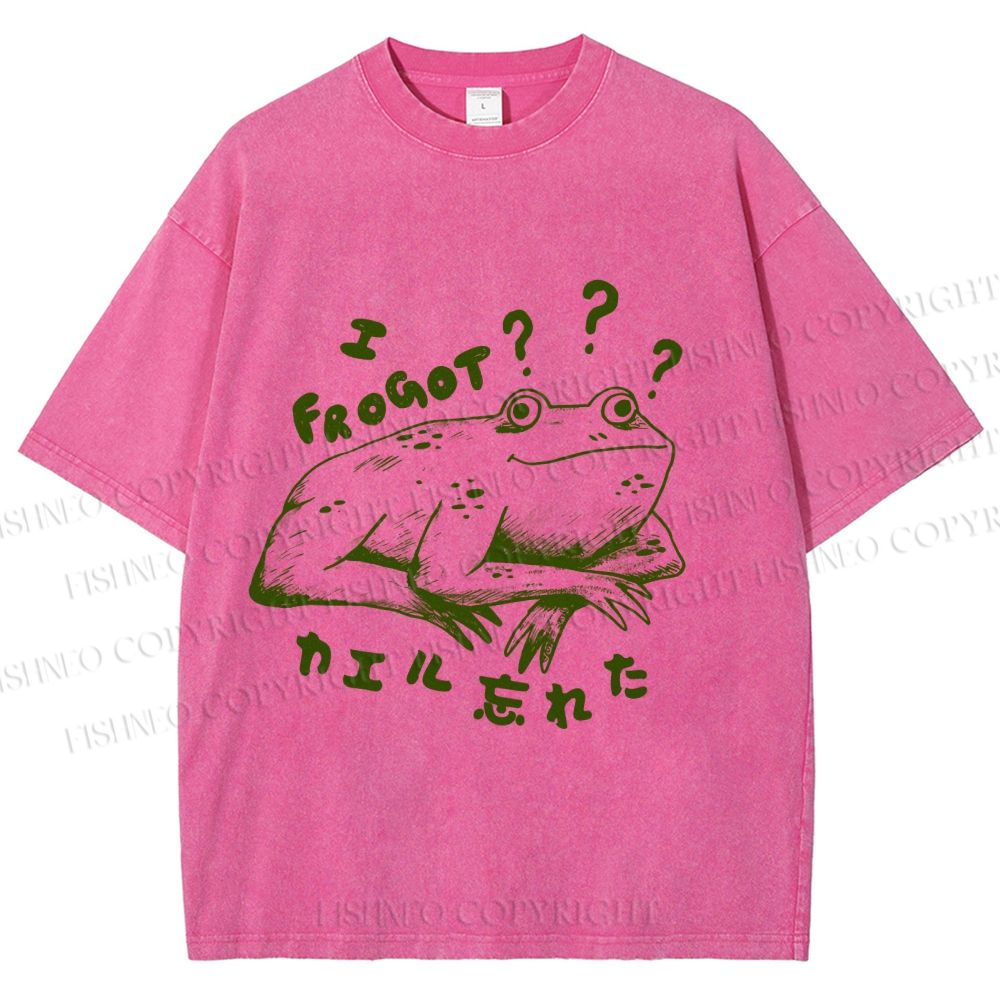 Unisex Vintage Frog Forget Printed Washed Tee