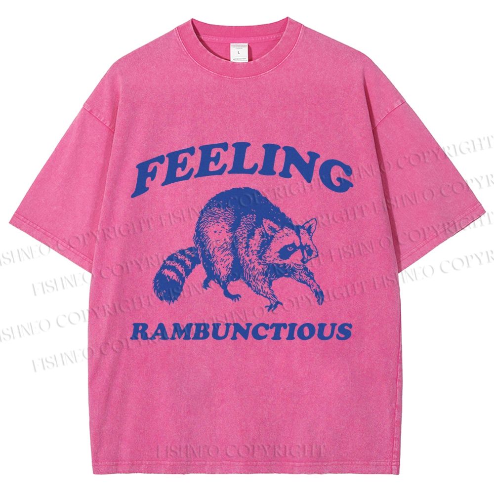 Unisex Vintage Raccoon Printed Washed Tee
