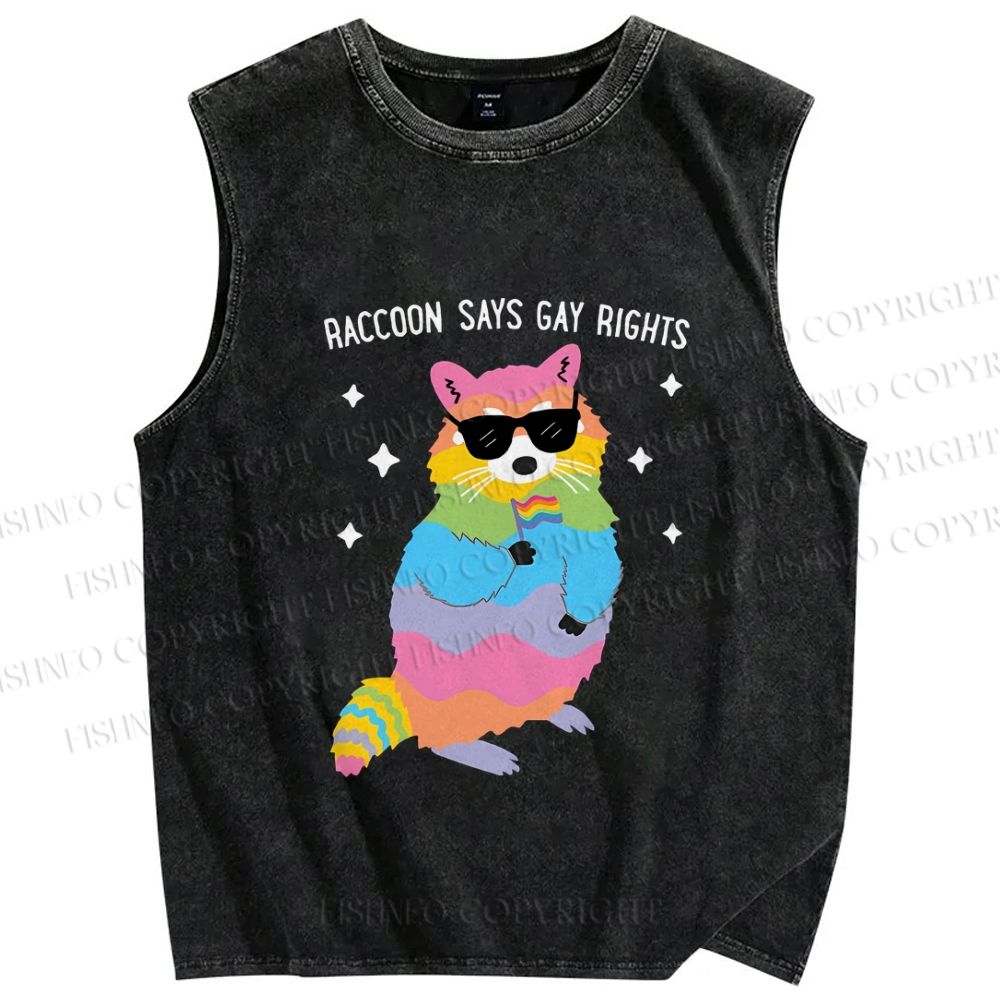Unisex Pride Raccoon Says Gay Rights Printed Washed Tank Top