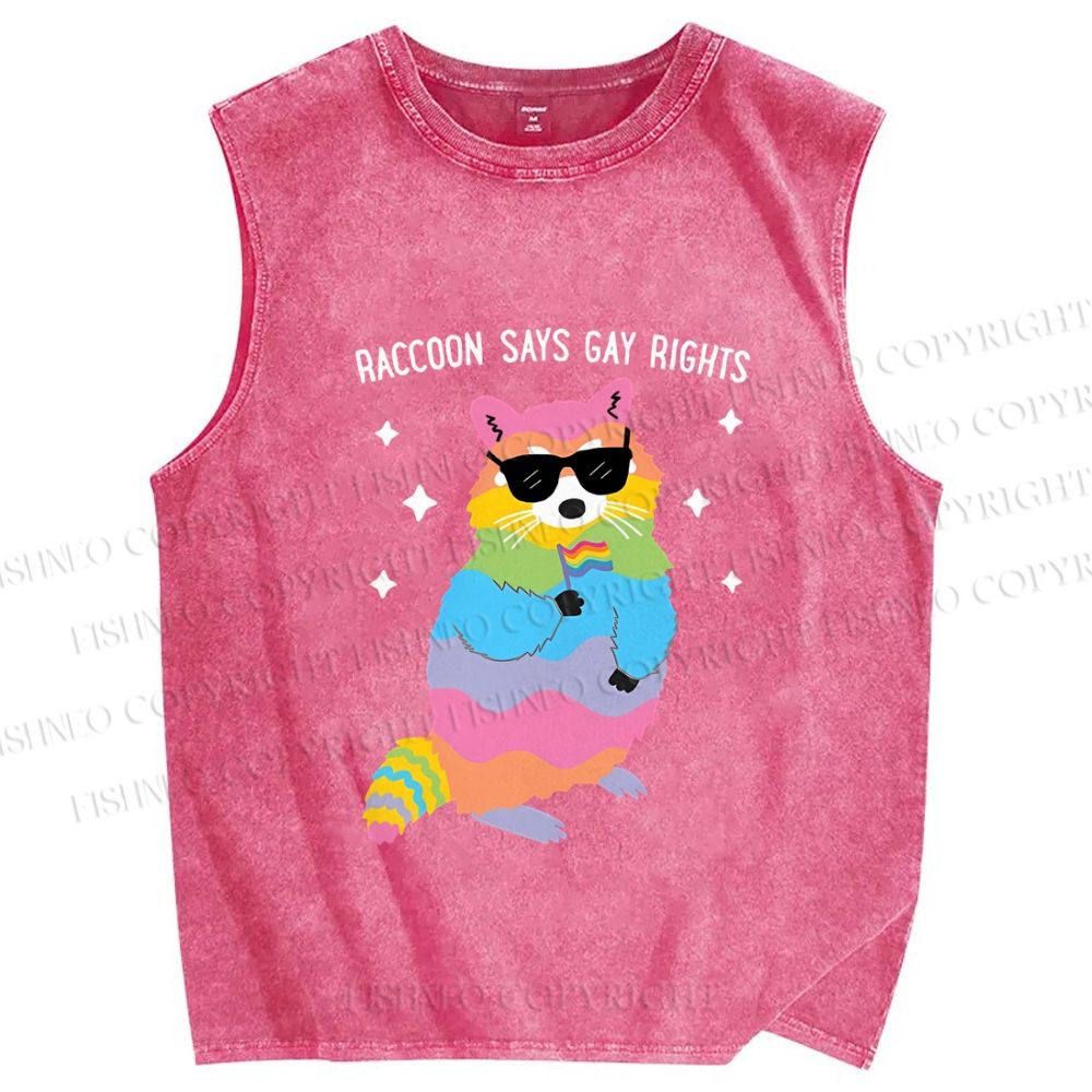Unisex Pride Raccoon Says Gay Rights Printed Washed Tank Top