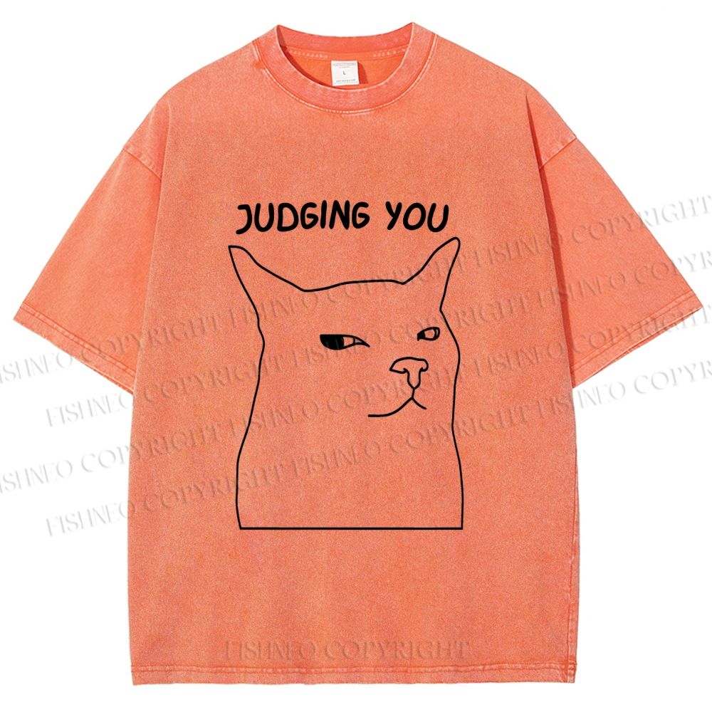 Unisex Funny Cat Judging You Printed Washed Tee