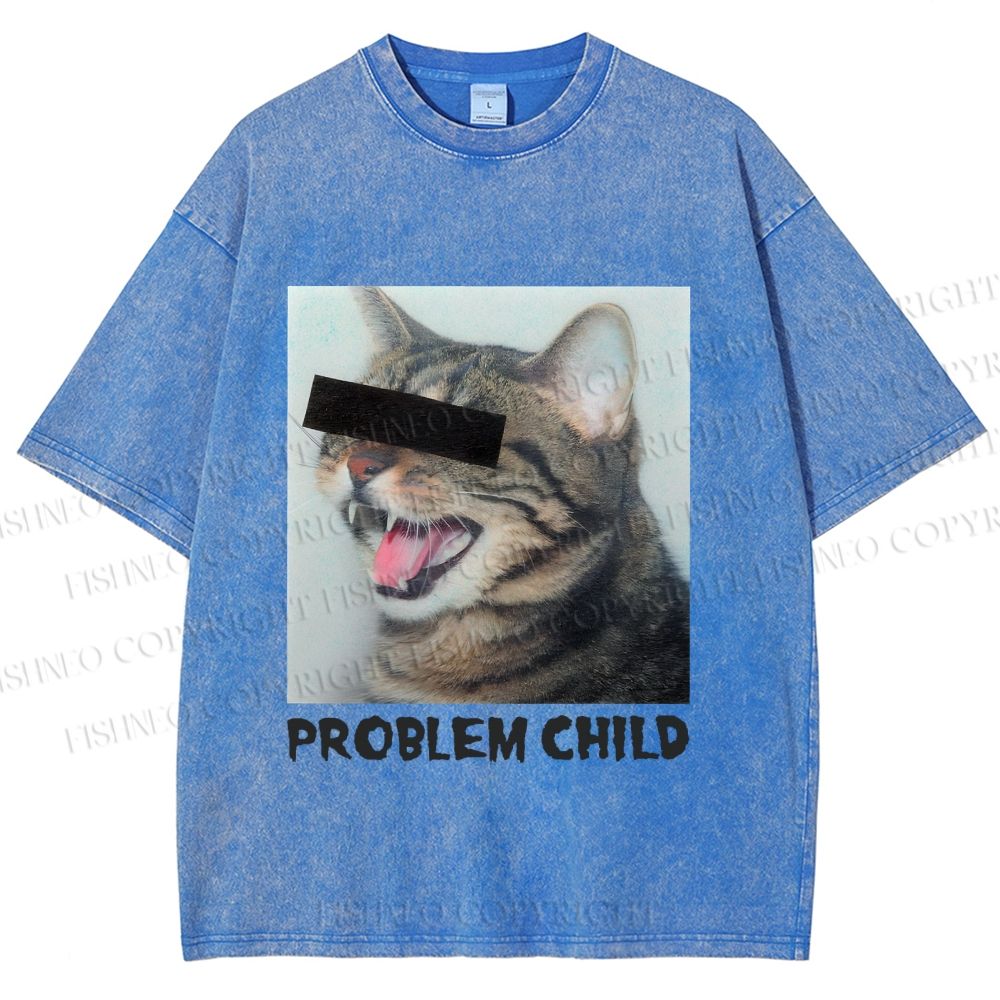 Unisex Angry Cat Problem Child Printed Washed Tee
