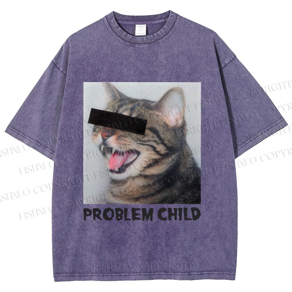 Unisex Angry Cat Problem Child Printed Washed Tee