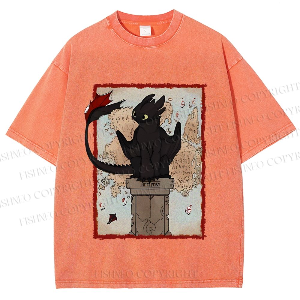 Unisex Printed Washed Tee 2506014191