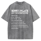 Reason For Being Late Vintage Washed T-shirt
