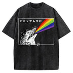 Opossum Rainbow Vintage Washed T-shirt
