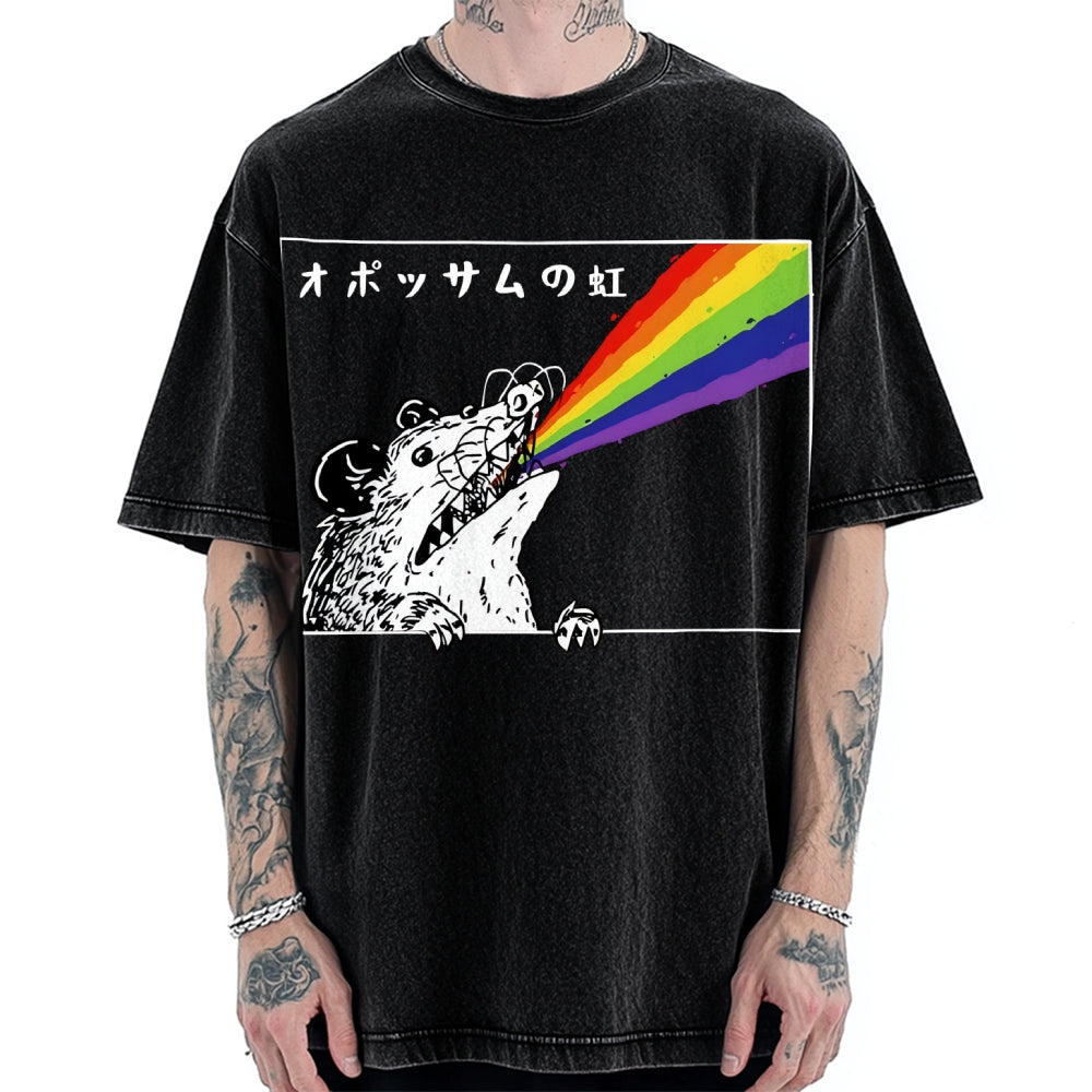 Opossum Rainbow Vintage Washed T-shirt