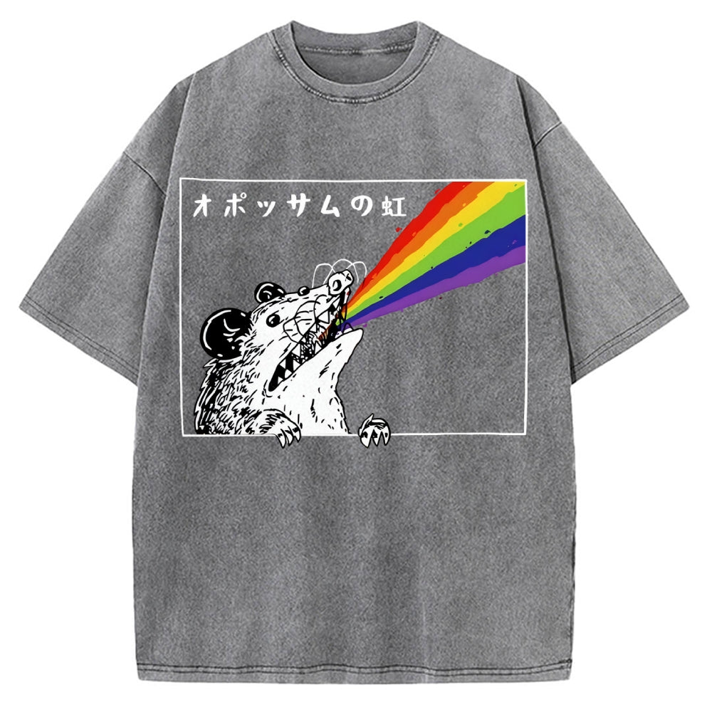 Opossum Rainbow Vintage Washed T-shirt