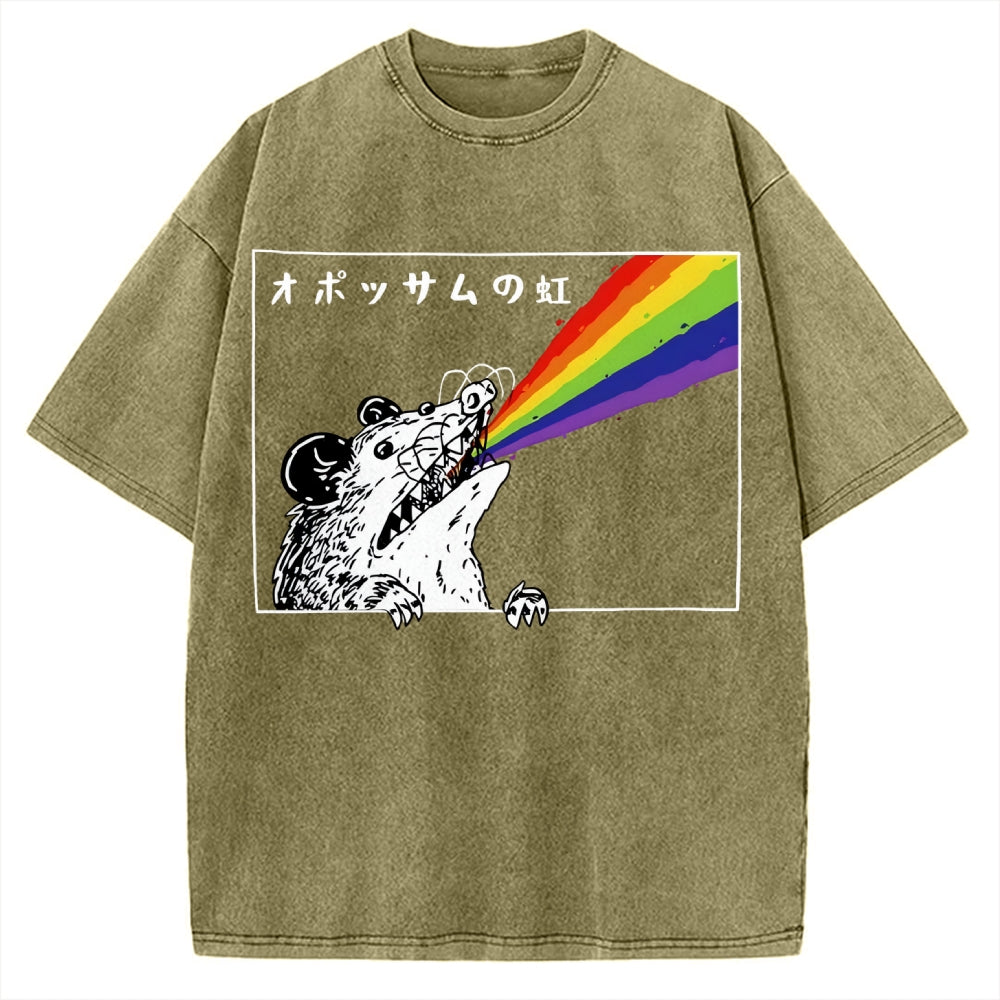 Opossum Rainbow Vintage Washed T-shirt