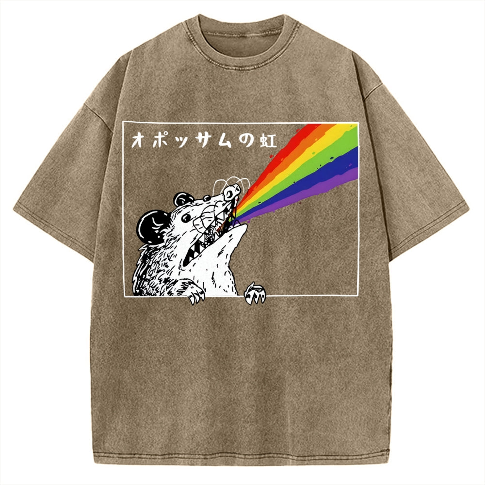 Opossum Rainbow Vintage Washed T-shirt