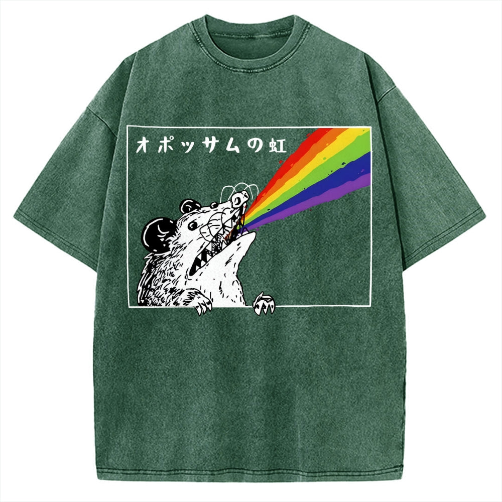Opossum Rainbow Vintage Washed T-shirt