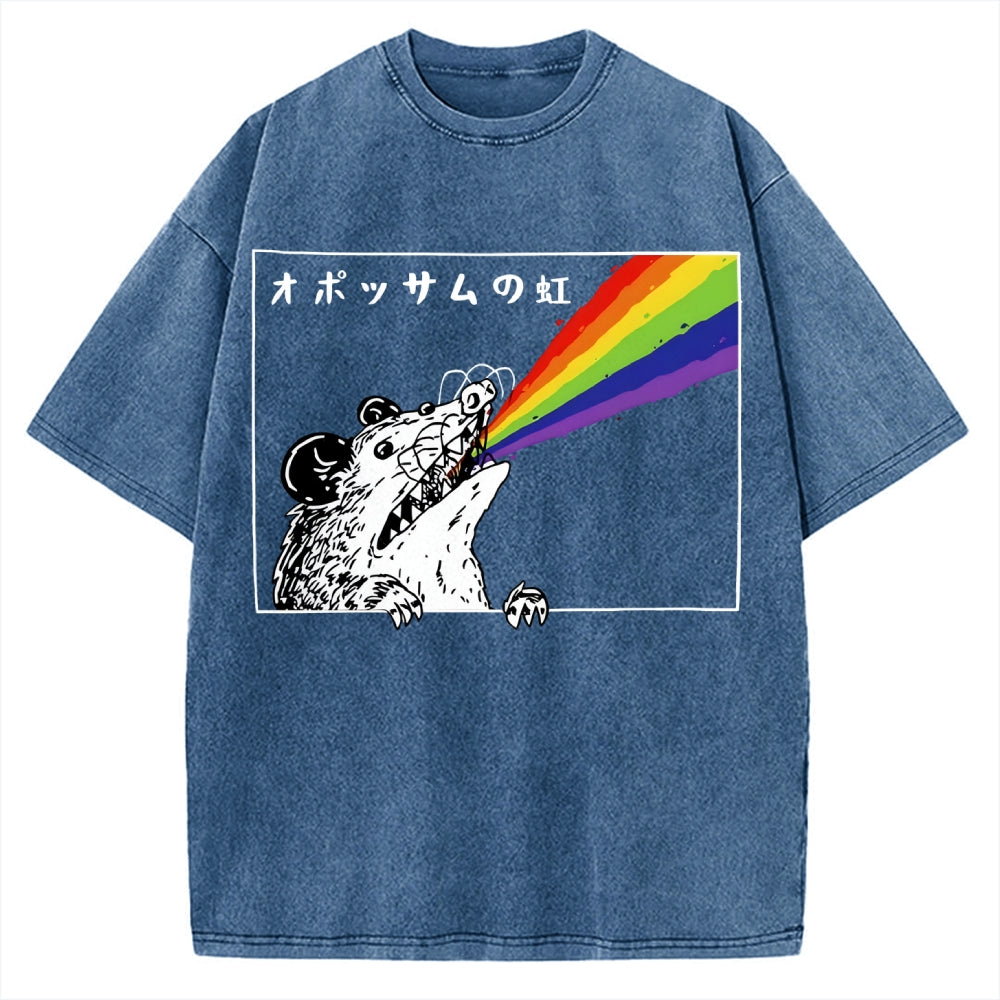 Opossum Rainbow Vintage Washed T-shirt