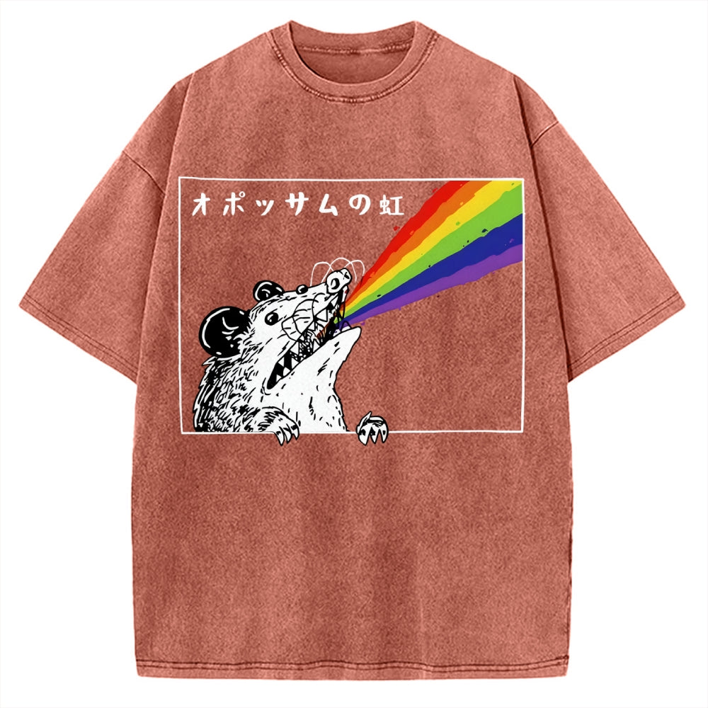 Opossum Rainbow Vintage Washed T-shirt