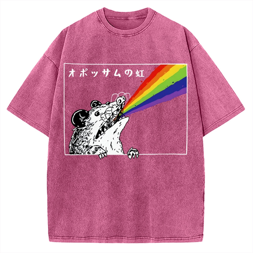 Opossum Rainbow Vintage Washed T-shirt