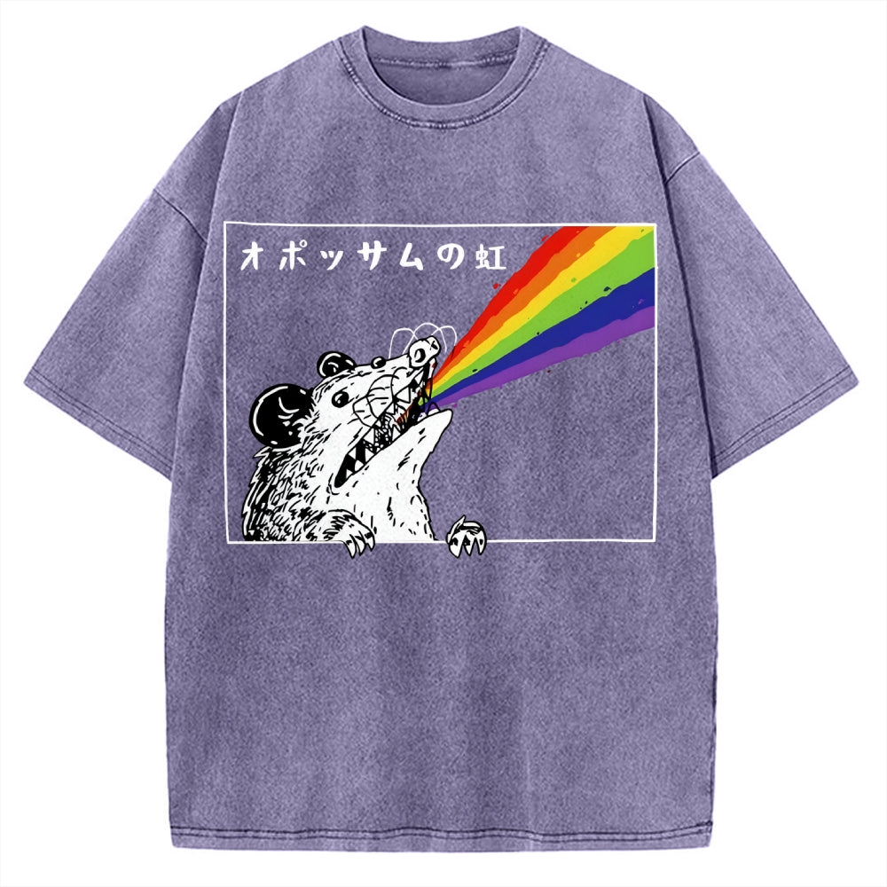 Opossum Rainbow Vintage Washed T-shirt
