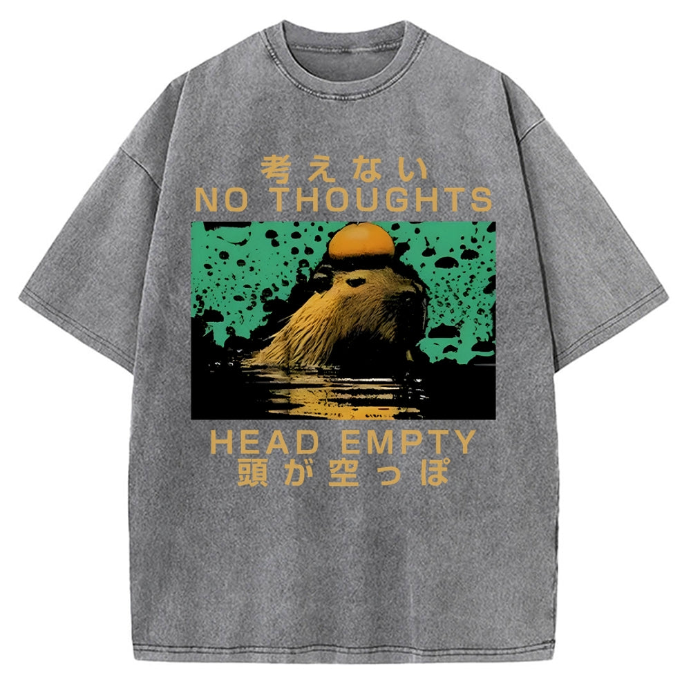 Capybara No Thoughts Head Empty Vintage Washed T-shirt