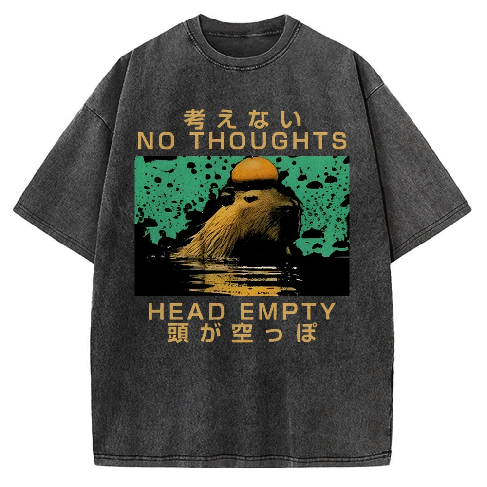 Capybara No Thoughts Head Empty Vintage Washed T-shirt