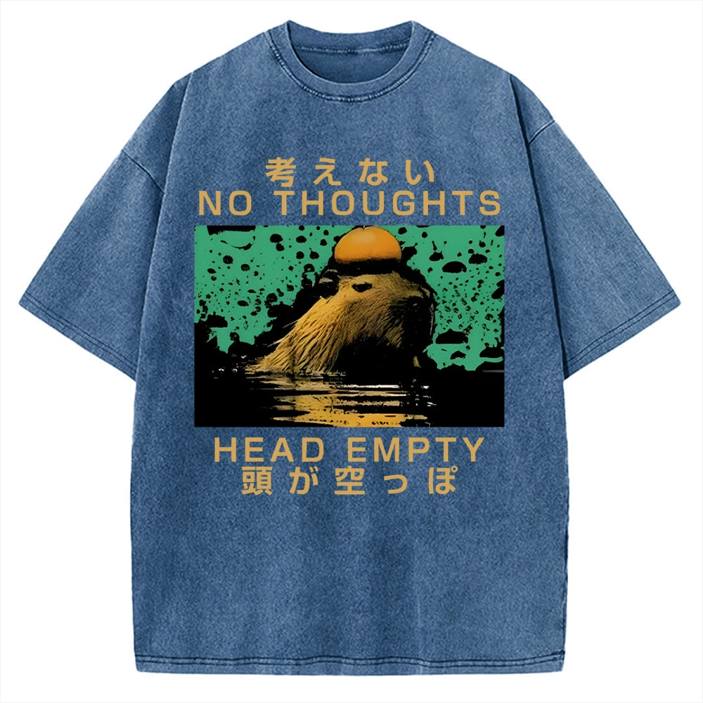 Capybara No Thoughts Head Empty Vintage Washed T-shirt