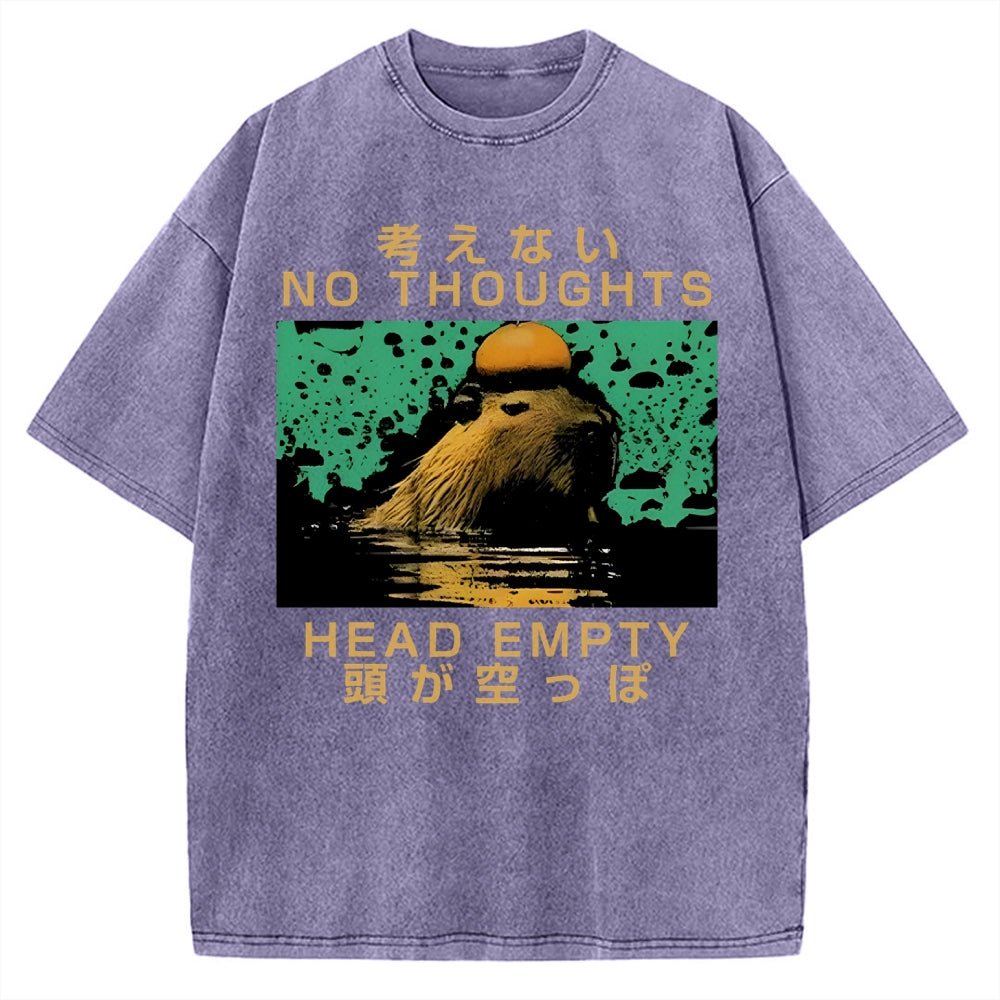 Capybara No Thoughts Head Empty Vintage Washed T-shirt