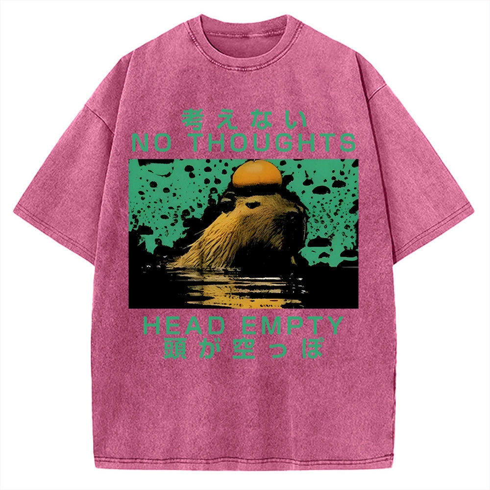 Capybara No Thoughts Head Empty Vintage Washed T-shirt