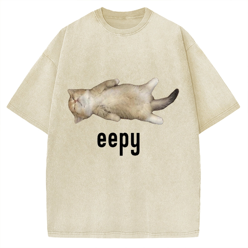 Lazy Cat eepy Funny Vintage Washed T-shirt