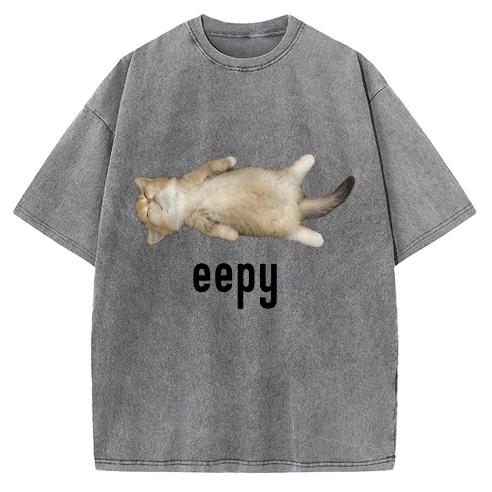 Lazy Cat eepy Funny Vintage Washed T-shirt