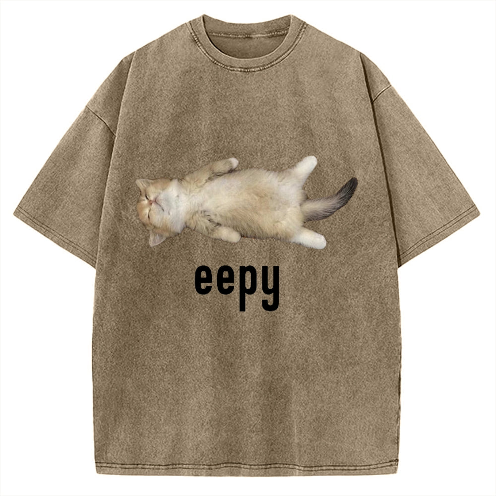 Lazy Cat eepy Funny Vintage Washed T-shirt