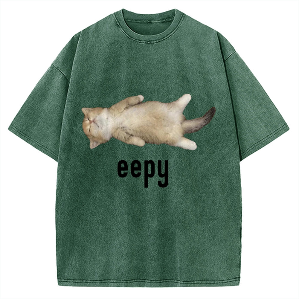 Lazy Cat eepy Funny Vintage Washed T-shirt