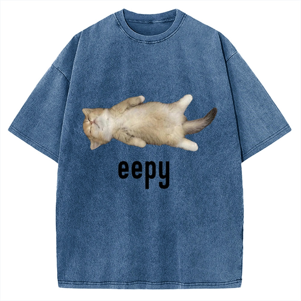 Lazy Cat eepy Funny Vintage Washed T-shirt