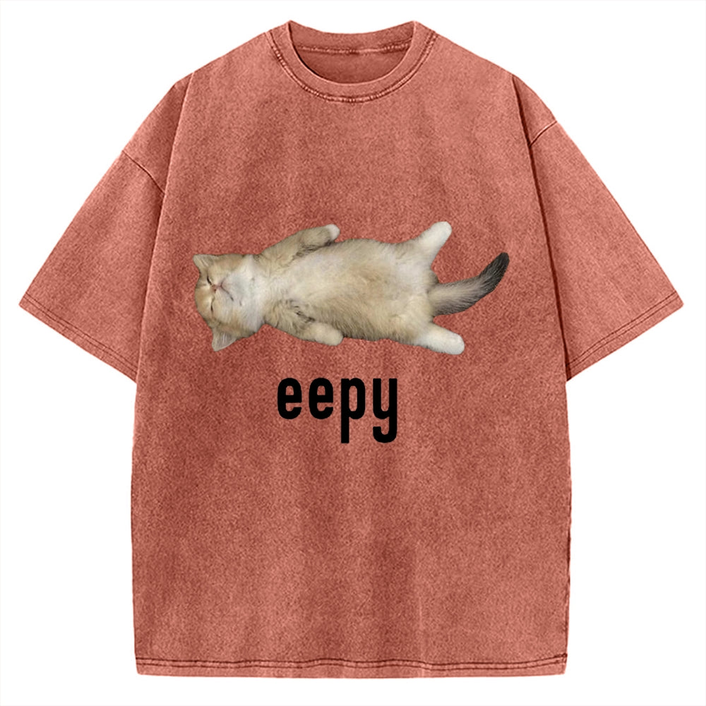 Lazy Cat eepy Funny Vintage Washed T-shirt