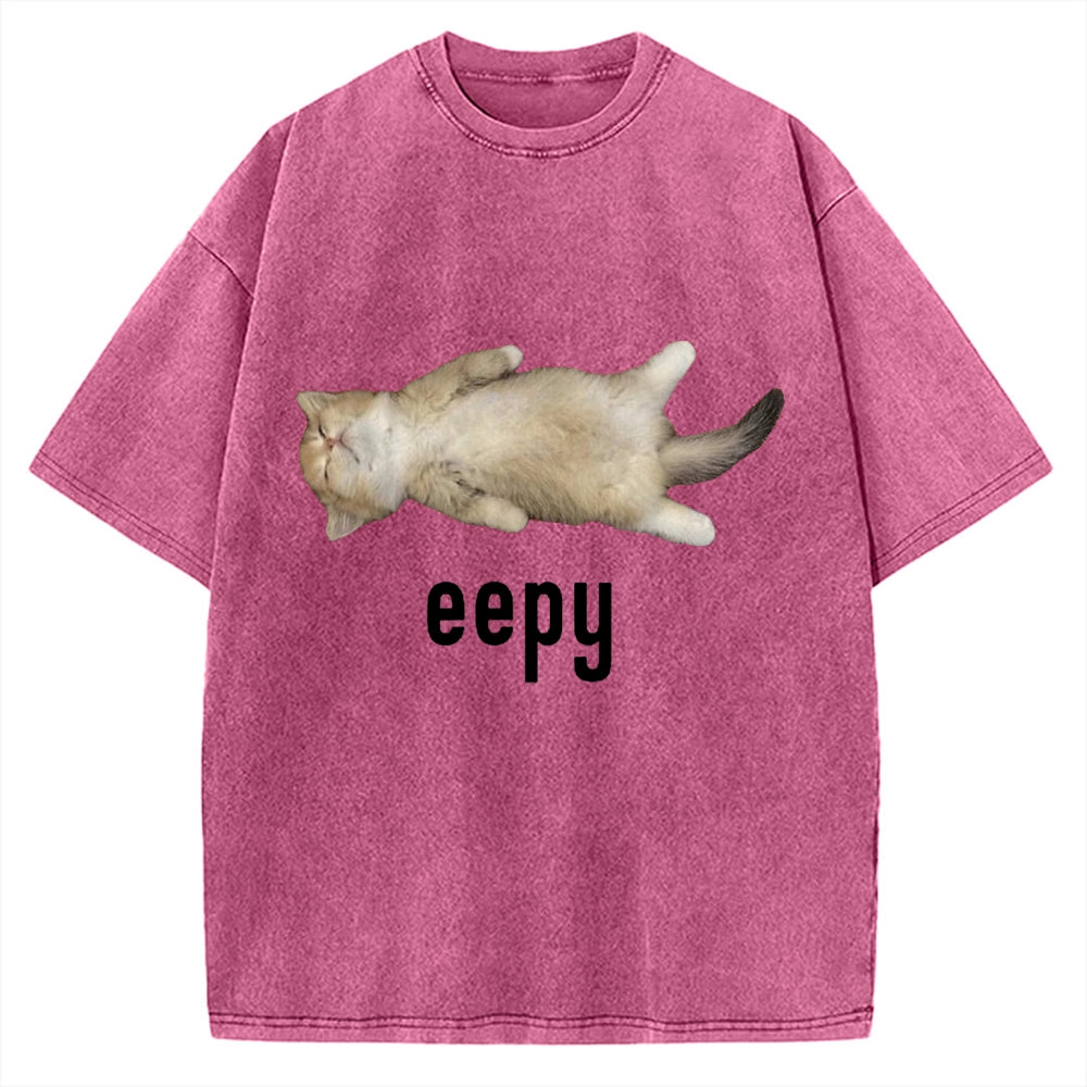 Lazy Cat eepy Funny Vintage Washed T-shirt