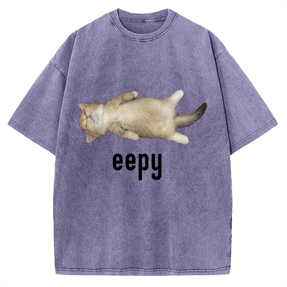 Lazy Cat eepy Funny Vintage Washed T-shirt