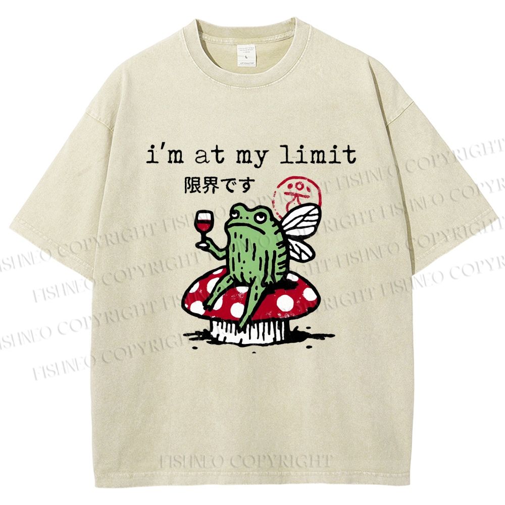 Unisex I'm At My Limit Printed Washed Tee