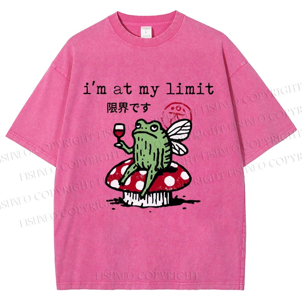 Unisex I'm At My Limit Printed Washed Tee