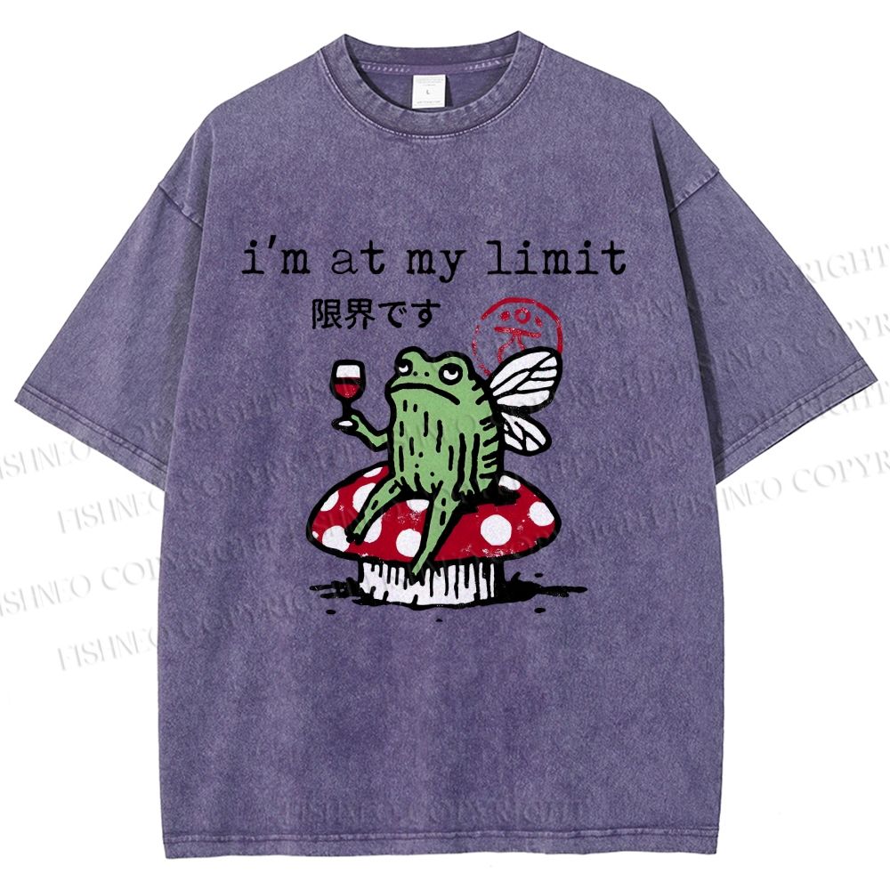 Unisex I'm At My Limit Printed Washed Tee