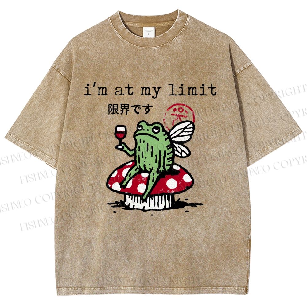 Unisex I'm At My Limit Printed Washed Tee