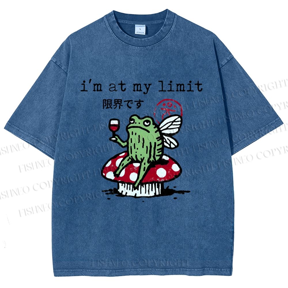 Unisex I'm At My Limit Printed Washed Tee