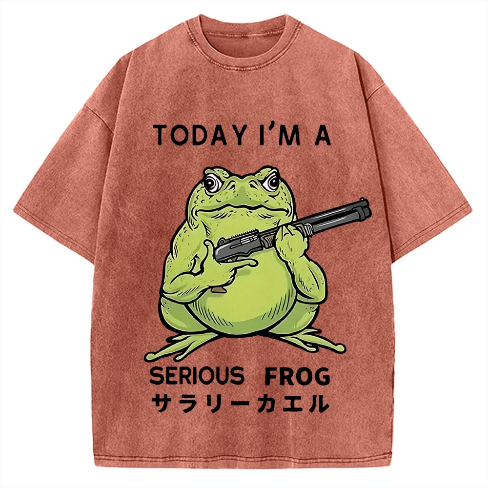 Today I'm A Serious Frog Vintage Washed T-shirt