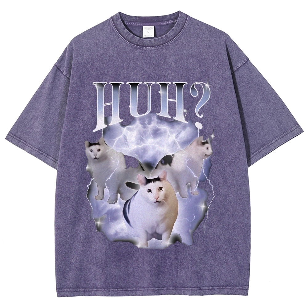 Huh Cat Chonky Ben Meme Washed T-Shirt