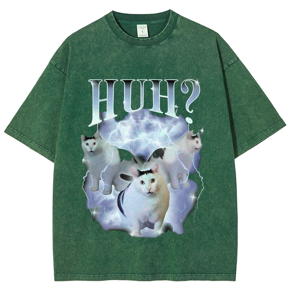 Huh Cat Chonky Ben Meme Washed T-Shirt