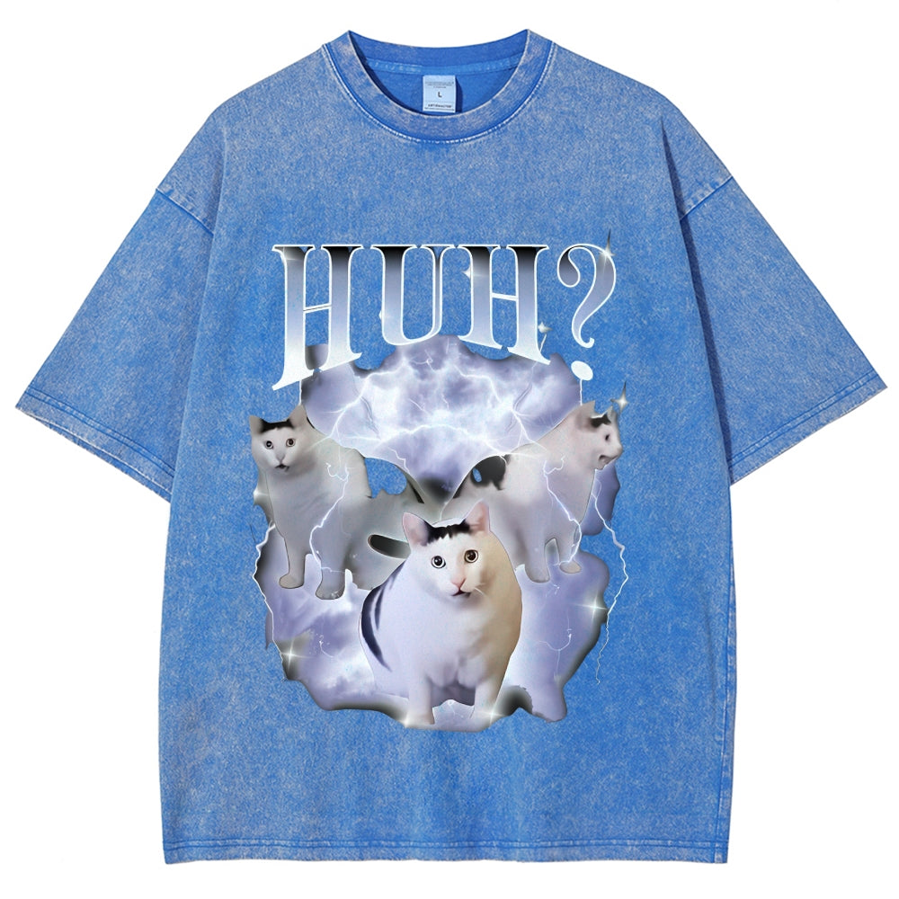 Huh Cat Chonky Ben Meme Washed T-Shirt