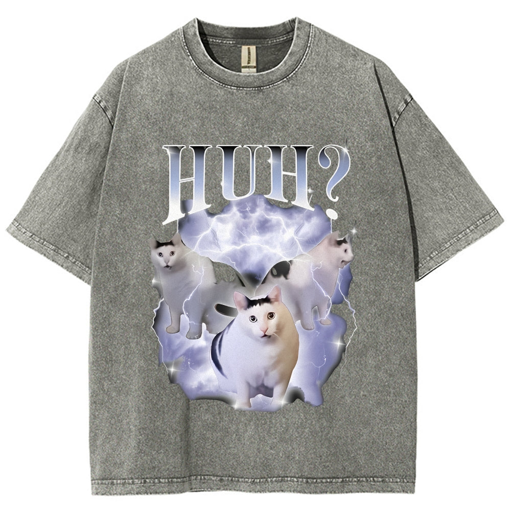 Huh Cat Chonky Ben Meme Washed T-Shirt
