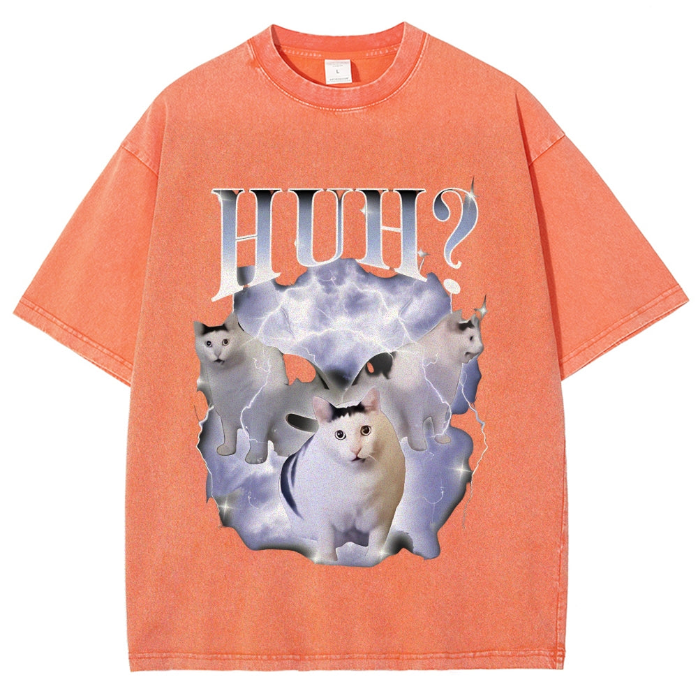Huh Cat Chonky Ben Meme Washed T-Shirt