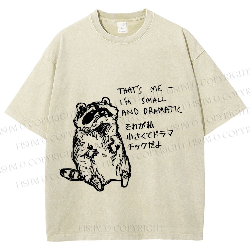 Unisex Small And Dramatic Raccoon Printed Washed Tee